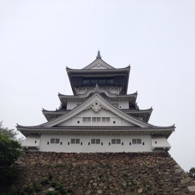 Profile Picture of Kevin Hui (@Kevinhui8) on Twitter