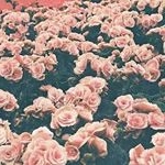 Profile Picture of Ruby Sears (@ruby_photography28) on Instagram