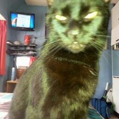 Profile Picture of Ursula Scott (@ursulascott69) on Twitter