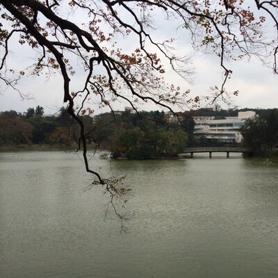 Profile Picture of 戴小彬 (@brianshima77) on Twitter