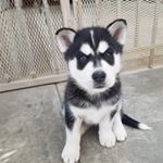 Profile Picture of Fernando Landeros (@fernando.landeros.1044) on Instagram