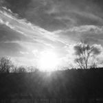 Profile Picture of Avery Dillon (@averydillonabc) on Instagram