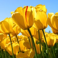 Sabrina Randall - Quora Profile Picture of Sabrina Randall (@sabrina-randall-8) on Quora