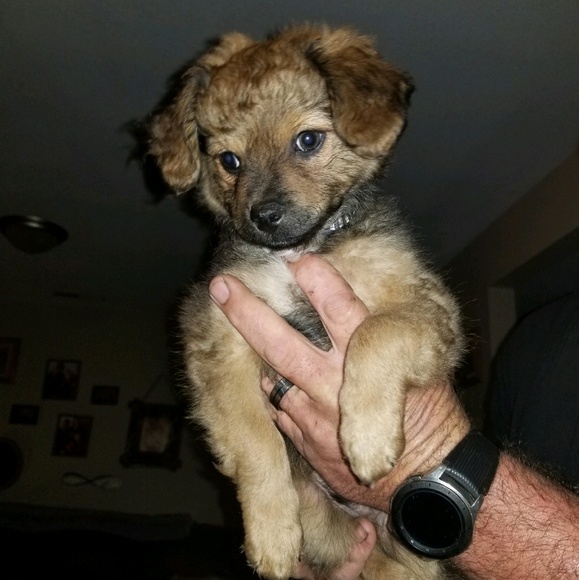 Profile Picture of Thomas Reilly (@treilly910) on Poshmark