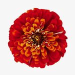 Profile Picture of Dave McKinney (@mckinneyfineartphotography) on Instagram