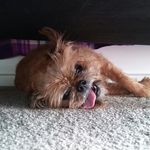 Profile Picture of Ayden Roberts (@roberts_ayden) on Instagram