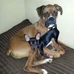 Profile Picture of Bill Marykay Lucio (@billmarykay) on Instagram