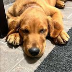 Profile Picture of Valerie Stapley (@valstapley) on Instagram