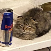 Profile Picture of Sobaka (@sobaka1160) on Youtube