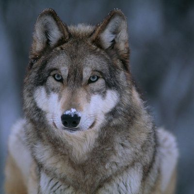 Profile Picture of Jacob Rackley (@JakeRackley5) on Twitter