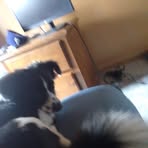 Profile Picture of Jared Nelson (@Jared-Nelson) on Facebook