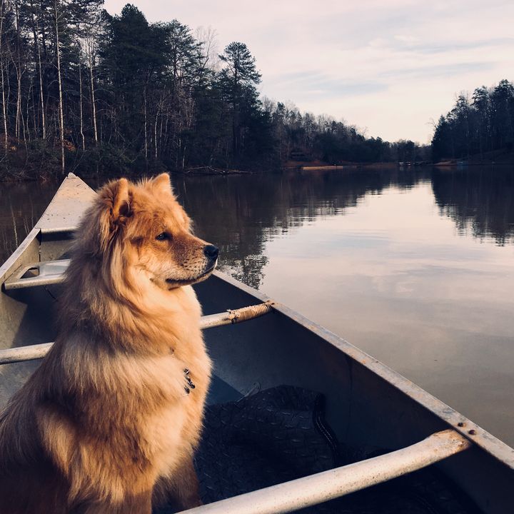 Profile Picture of Joel Schult (@otterskeeper) on Tiktok