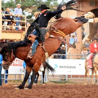 Profile Picture of Vold Pro Rodeo CO (@voldprorodeo) on Instagram