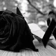 Profile Picture of Miguel Angel Valiente (@Miguel-Angel-Valiente) on Facebook