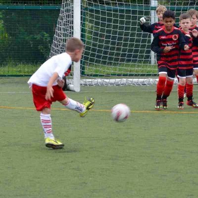 Profile Picture of Stephen Bickel (@StephenBickel2) on Twitter