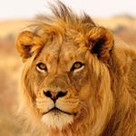 Profile Picture of Radu Chirita (@raduchirita.22) on Instagram
