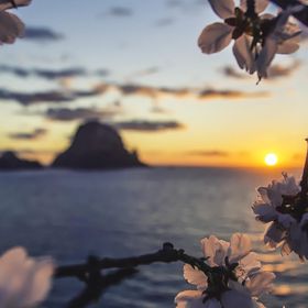 Profile Picture of Cathy Lucas (@cathylou24) on Pinterest