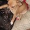 Profile Picture of Tisha Daniels (@tisha.daniels.3139) on Facebook