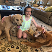 Profile Picture of Jason Storie (@jasonstorie8740) on Youtube