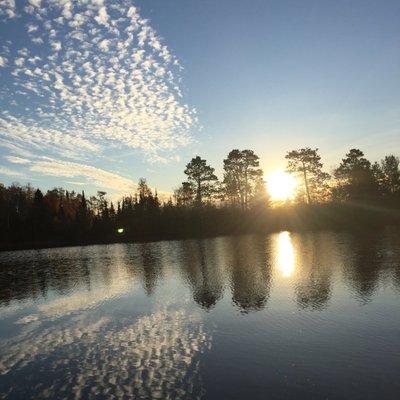 Profile Picture of Ariel Engel (@ArielEngel3) on Twitter
