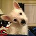 Profile Picture of Amanda Bartecki (@abartecki25) on Pinterest