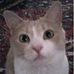 Profile Picture of Nancy Lonergan (@nancy.lonergan.7) on Facebook