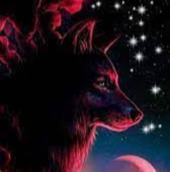 Profile Picture of Alissa Haney (@k1831344) on Poshmark