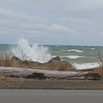 Profile Picture of Terry Visheau Bradburn (@terry.bradburn) on Instagram