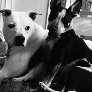 Profile Picture of Jamie Pulaski Williams (@jamie.pulaskiwilliams) on Facebook