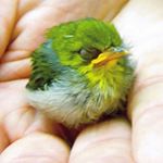 Profile Picture of Alex Meadows (@mmmeadowsss) on Instagram