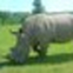 Profile Picture of paul godbold (@Godbold) on Flickr