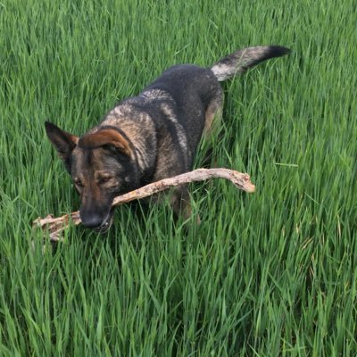 Profile Picture of OscarQuattro (@KevinPeel11) on Twitter