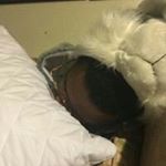 Profile Picture of Robert Ridley (@calm_animal) on Instagram