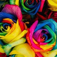 Profile Picture of Lisa Inman (@lisa-inman-5) on Quora