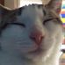Profile Picture of Matthew Baisch (@matthew.baisch.5) on Facebook