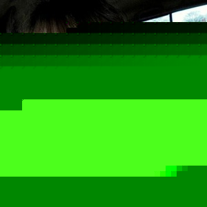 Jenna Maher - Myspace Profile Picture of Jenna Maher (@buggie1015) on Myspace