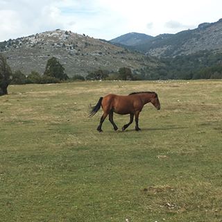 Profile Picture of Erika Benzel (@erika.benzel.1) on Facebook