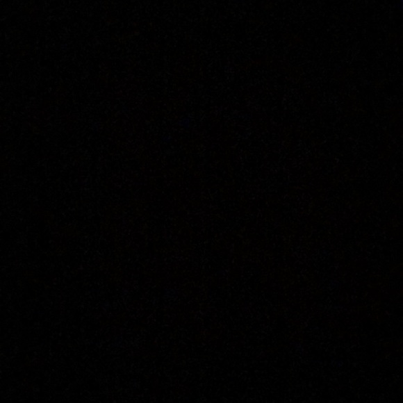 Profile Picture of Taylor Tripodi (@taylortripodi) on Poshmark