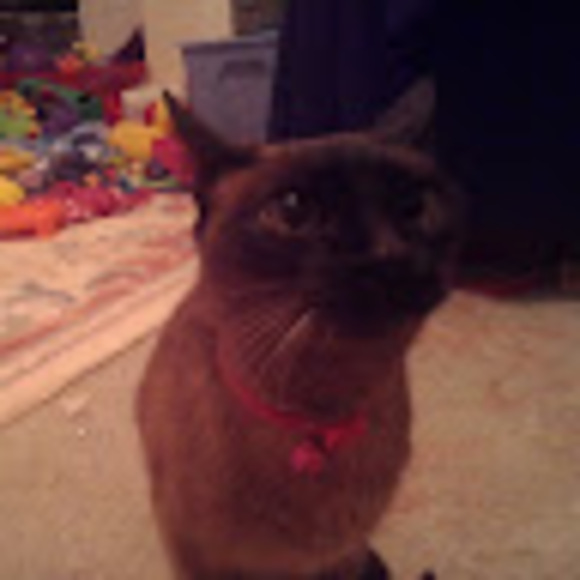 Profile Picture of Lm Hoglen (@lmh30655) on Poshmark