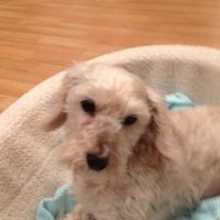 Profile Picture of Nancy Testani (@nancy-testani) on Quora