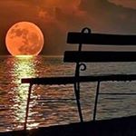 Profile Picture of Owen Stark (@owen.stark) on Instagram