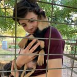 Profile Picture of Nick Harper (@nick_harps_) on Instagram