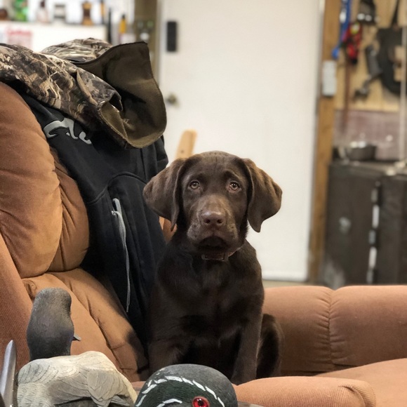 Profile Picture of Scott Tussey (@tuss55) on Poshmark