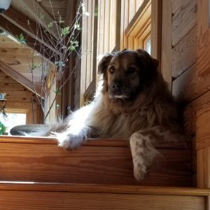 Profile Picture of Joe Farrington (@JoeFarrington18) on Twitter