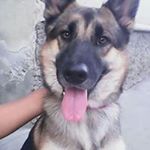 Profile Picture of Javier Mendiola (@javier.mendiola.123276) on Instagram
