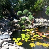 Profile Picture of Steve Brookins (@steve-brookins) on Quora