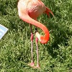 Profile Picture of Cindy Vann (@vanntasticvoyage) on Instagram