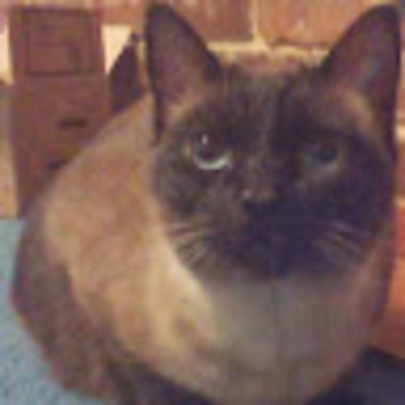 Profile Picture of Jordan Sutherland (@jsutherland183) on Poshmark