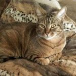 Profile Picture of Sue Simpson Havers (@simpsonhavers) on Instagram