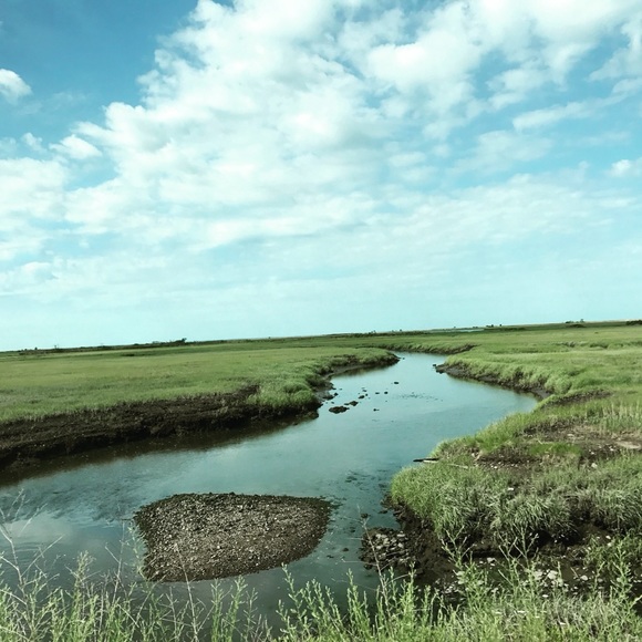 Profile Picture of Matt Wypychoski (@matt452) on Poshmark